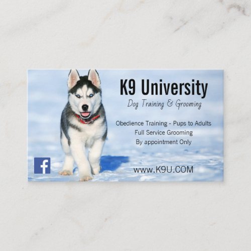 Blue Eyed Siberian Husky Dog TrainingGroom Card