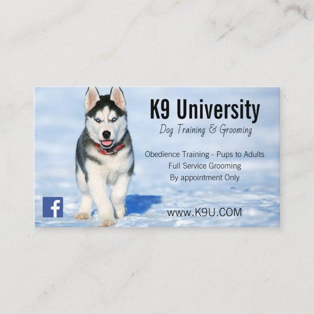 Blue Eyed Siberian Husky Dog Training/Groom Card (Front)