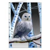 BLUE-EYED SNOW OWL (Front)