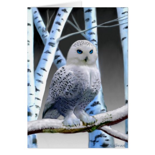 BLUE-EYED SNOW OWL (Front)