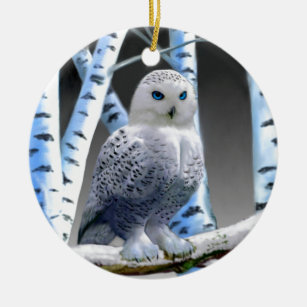 Snow Owl ROUND PORCELAIN ORNAMENT Great Christmas Gift Idea 