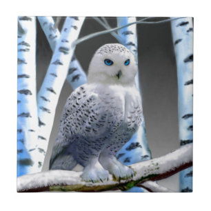 Blue-eyed Snow Owl Ceramic Tile