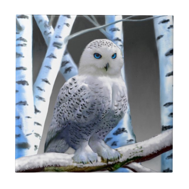 Blue-eyed Snow Owl Ceramic Tile (Front)