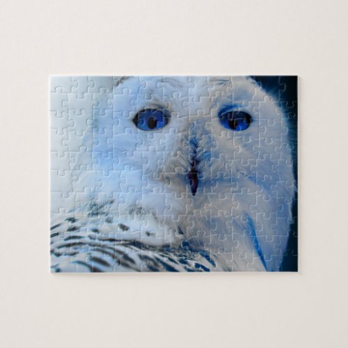 Blue Eyed Snow Owl Jigsaw Puzzle