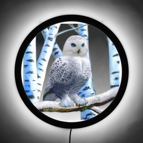 BLUE_EYED SNOW OWL LED SIGN