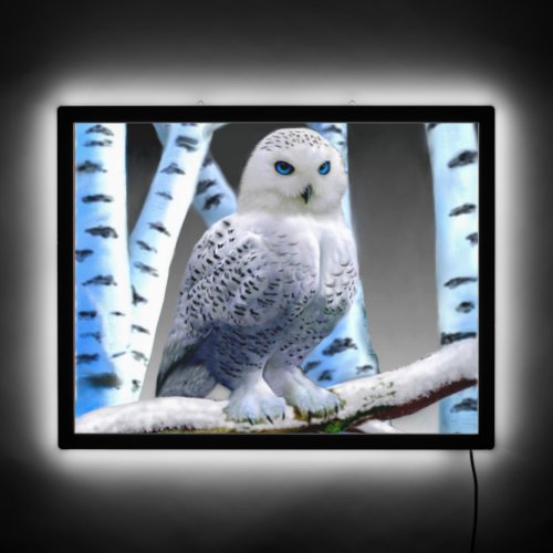 BLUE_EYED SNOW OWL LED SIGN