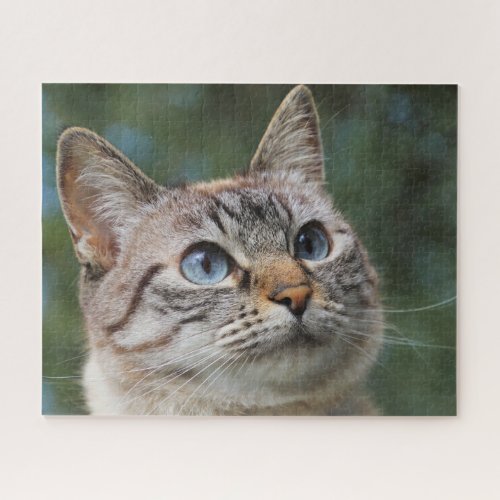 Blue Eyed Tabby Cat Jigsaw Puzzle