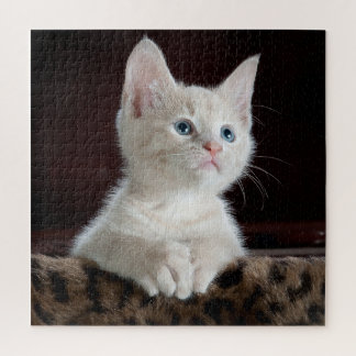 Blue Eyed White Kitten Jigsaw Puzzle