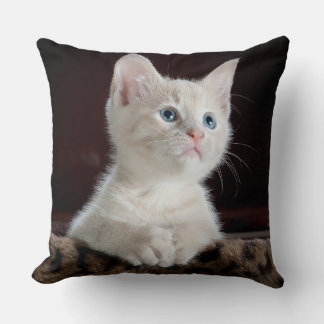Blue Eyed White Kitten Throw Pillow
