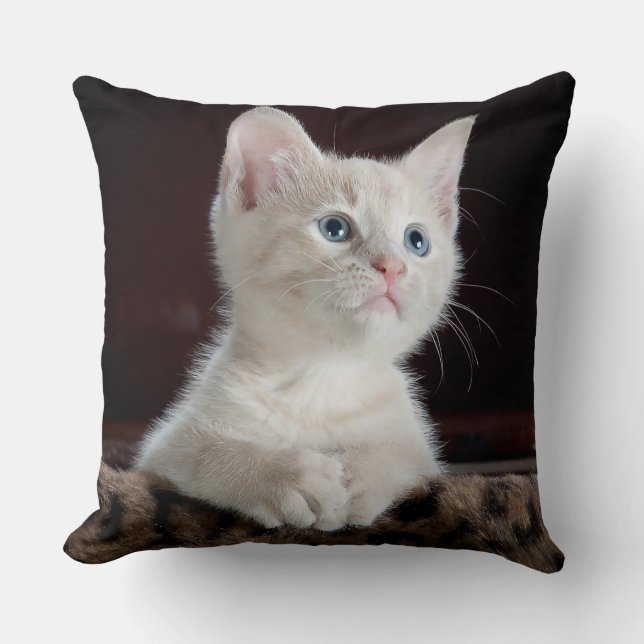 Blue Eyed White Kitten Throw Pillow (Front)