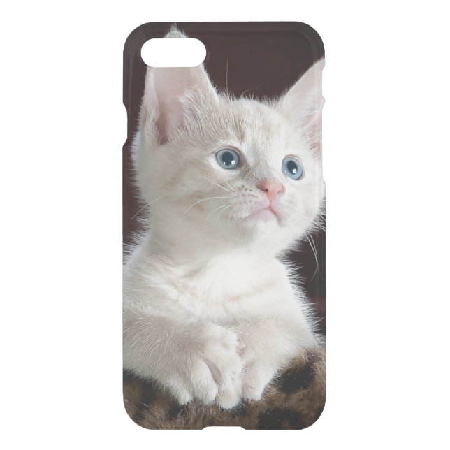 Blue Eyed White Kitten Uncommon iPhone Case (Back)