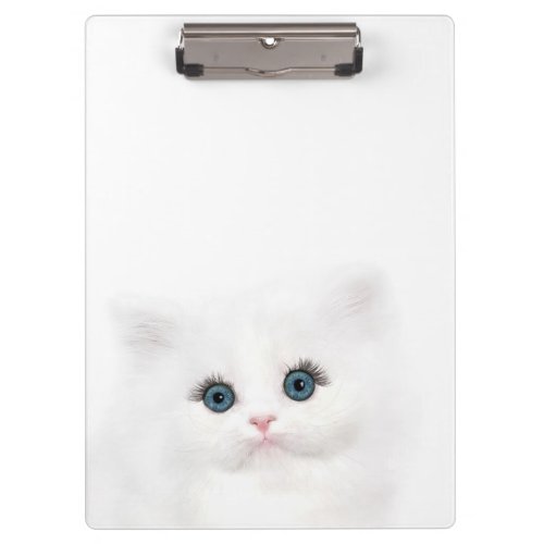 Blue eyed white persian kitten face clipboard