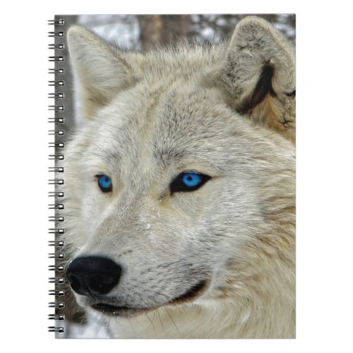 Blue eyed White Wolf Notebook