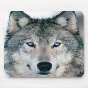 Blue Eyed Wolf Mouse Pad