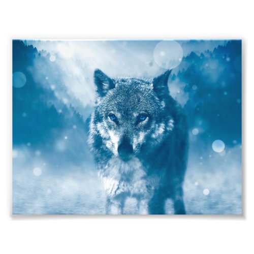 Blue eyed wolf photo print