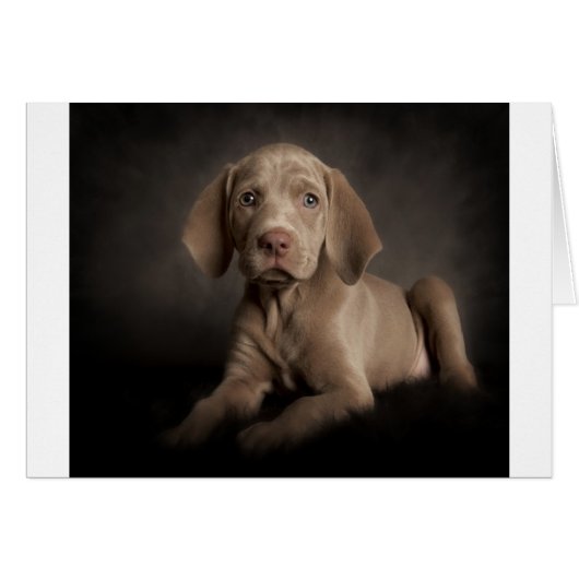 Blue eyes (Front Horizontal)