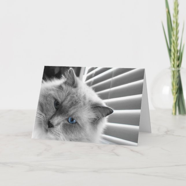 Blue Eyes, card (Front)