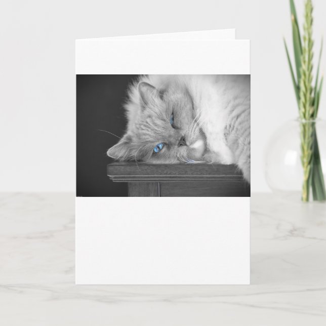 Blue Eyes, card (Front)