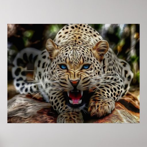 Blue Eyes Cheetah Poster | Zazzle