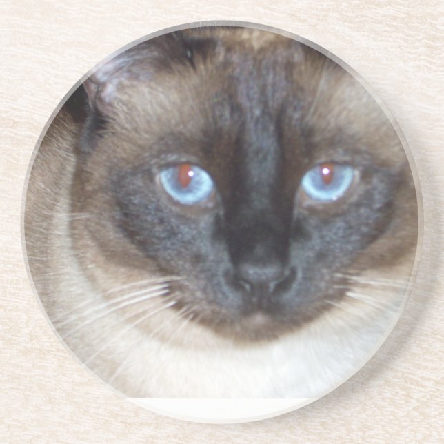 Blue Eyes Drink Coaster (Front)