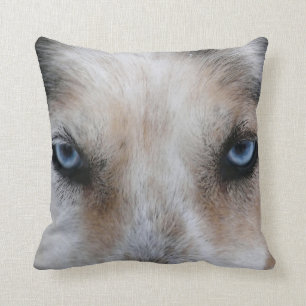 Blue eyes husky dog photo throw pillow