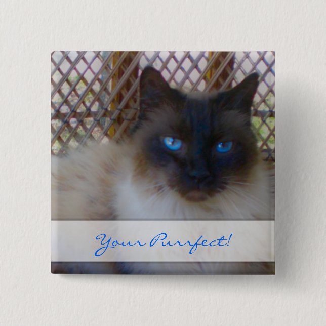 Blue Eyes Kitty Your Purrrfect Button (Front)