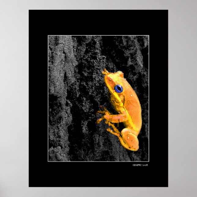 Blue Eyes Poster (Front)