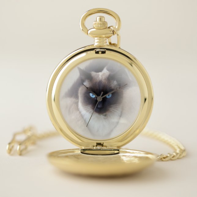 Blue eyes siamese cat pocket watch (Inside)