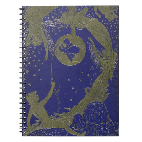 Blue Fairy Book Cover Fantasy Fairytale