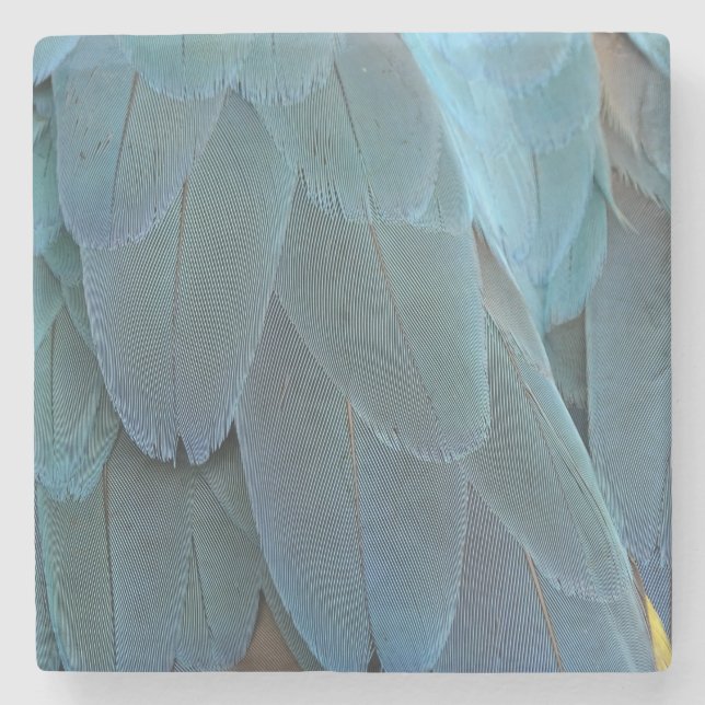 Blue Feather Stone Coaster (Front)