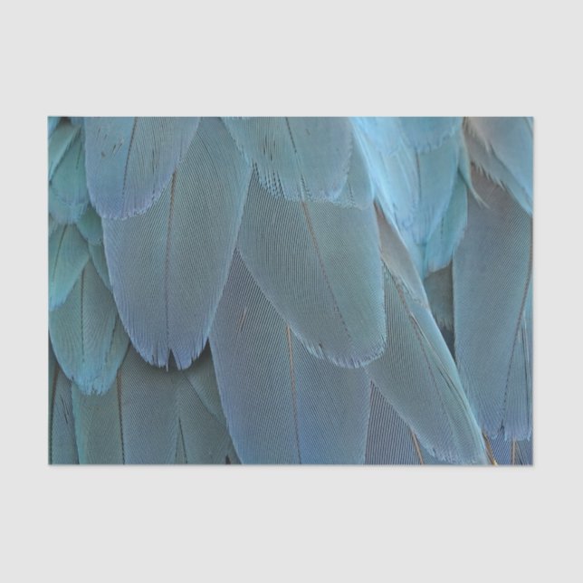 Blue Feather Tissue Paper (Front)