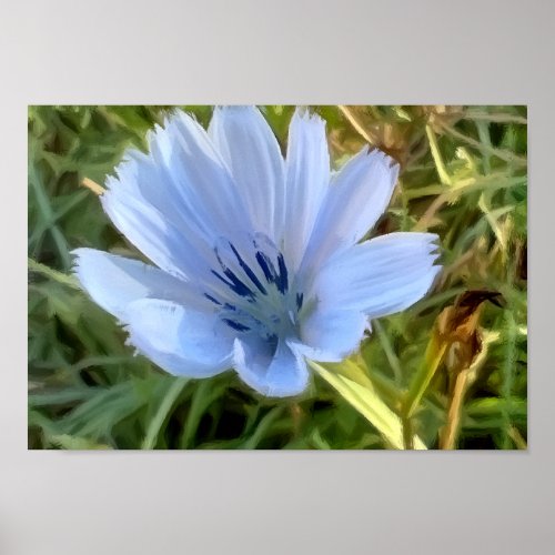Blue field flower poster