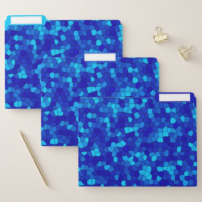BLUE  FILE FOLDER (Set)