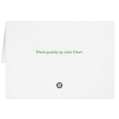 Blue Fireworks Burst (Back Horizontal)