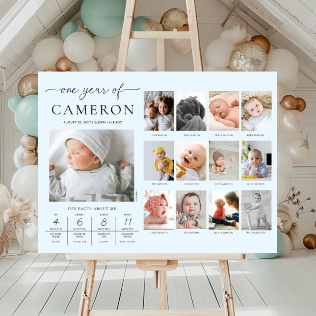 Blue First Birthday Photo Milestone Timeline Foam Board (Creator Uploaded)