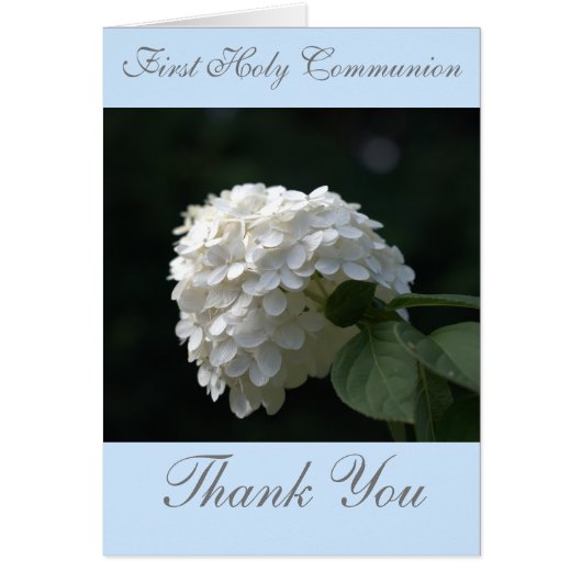 Blue First Holy Communion Insert Photo Cards (Front)