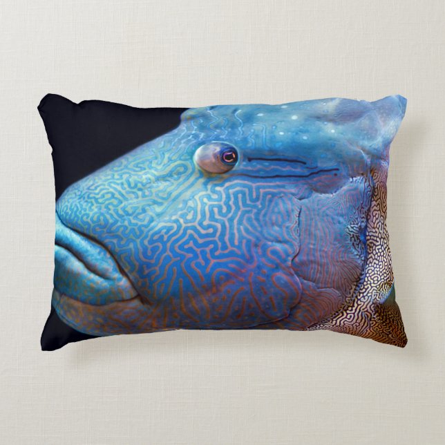 Blue fish accent pillow (Front)