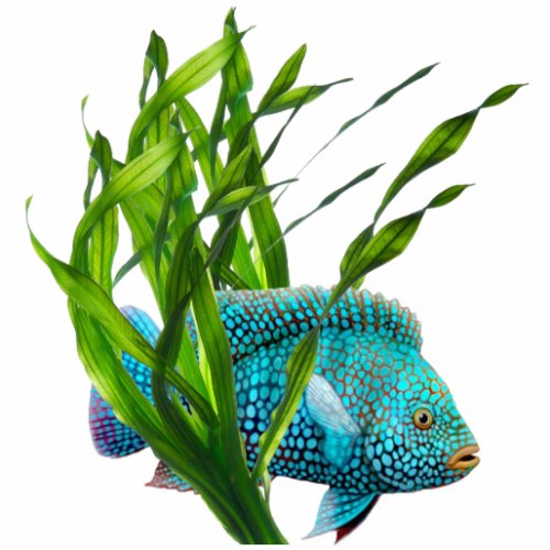Blue Fish in Seaweed Keychain