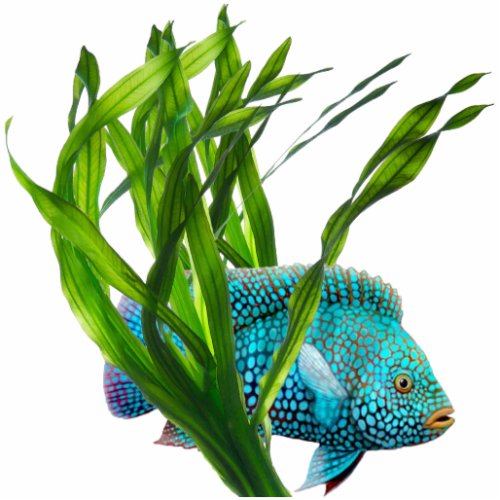 Blue Fish in Seaweed Ornament