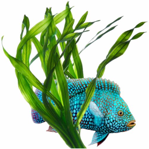 Blue Fish in Seaweed Pin Statuette