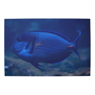 Blue Fish Metal Wall Art