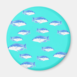Blue fish on turquoise magnet