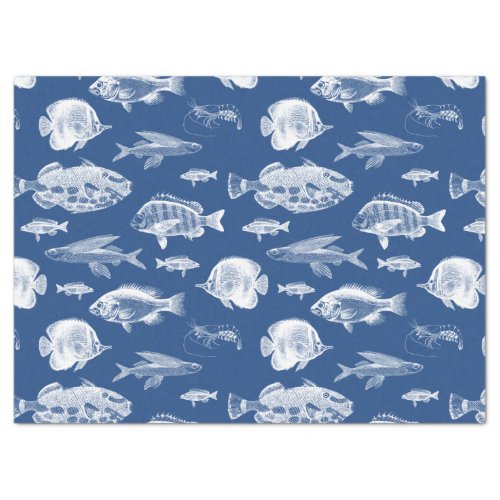 Blue Fish Tissue Paper