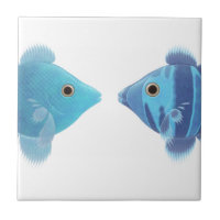 blue fishes
