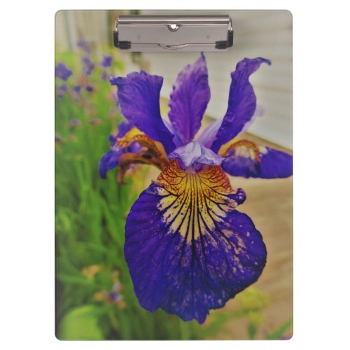 Blue Flag Iris Fleur de Lys French Canada Quebec Clipboard