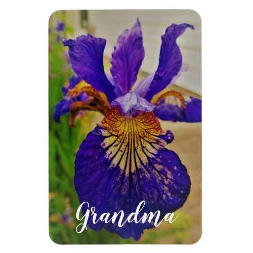 Blue Flag Iris Fleur de Lys French Canada Quebec Magnet