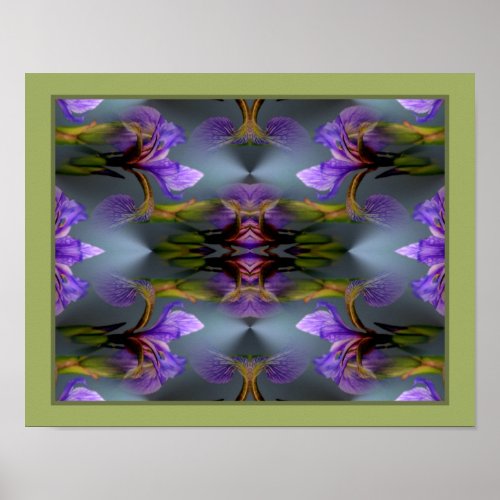 Blue Flag Iris Flower Abstract Nature  Poster