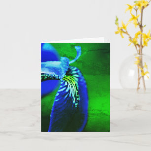 Blue Flag Iris Flower Art Note Card