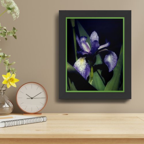 Blue Flag Iris Flower Framed Framed Art