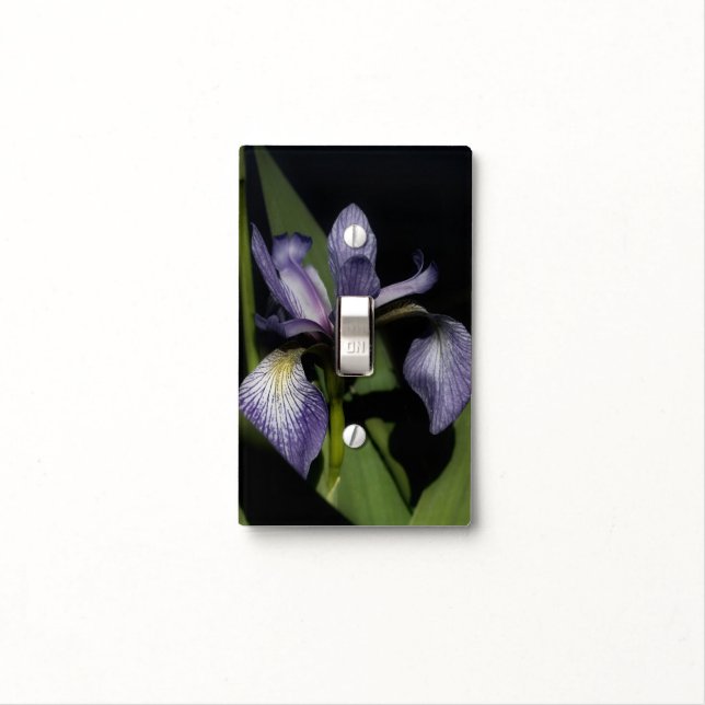 Blue Flag Iris Flower Light Switch Cover (In Situ)